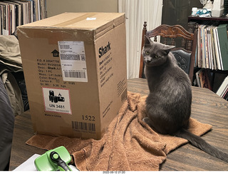 Shark AI Robot box and my cat Jane