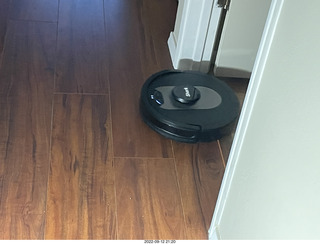 my robot vacuum Sharknado