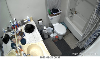 my cat Miss Pris in her bathroom safe space