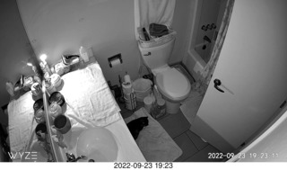 my cat Miss Pris in my dark bathroom