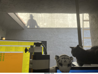 my cat Devin on the printer with roofer Misha's shadow