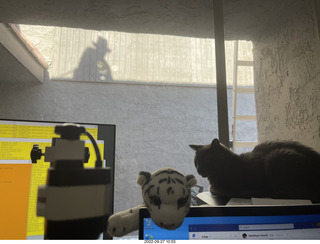 my cat Devin on the printer with roofer Misha's shadow