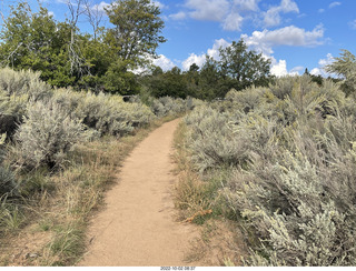 Wildcat Canyon Trail