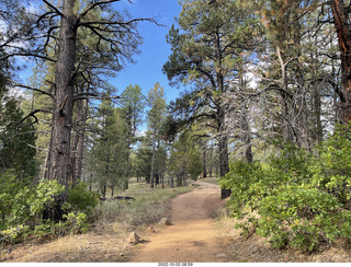 Utah drive to Wildcat Canyon trail