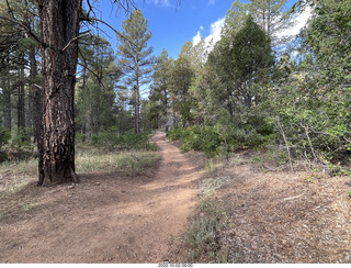 Northgate Peaks trail