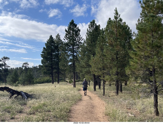 Wildcat Canyon Trail