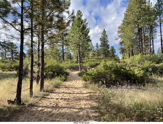 Northgate Peaks trail