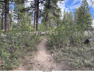 Northgate Peaks trail