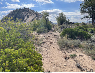 Northgate Peaks trail - vista view