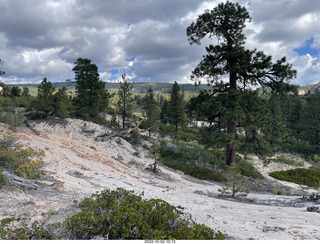 Northgate Peaks trail - vista view