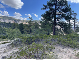 Northgate Peaks trail - vista view