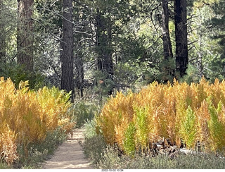 Wildcat Canyon trail