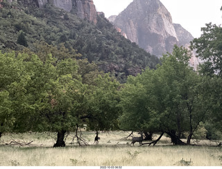 Zion National Park