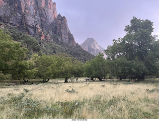 Zion National Park