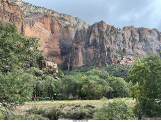 Zion National Park - mule deer