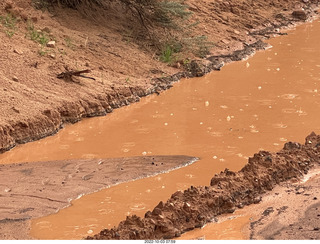 Zion National Park muddy water