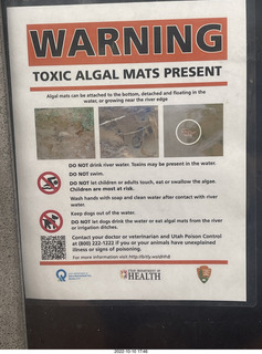 Zion National Park muddy water - warning toxic algal mats