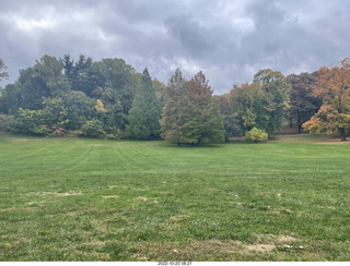 Philadelphia -  Wyncote - Curtis Arboretum