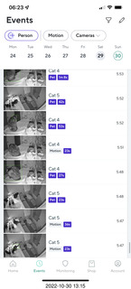 cat videos when Jane and Miss Pris fought