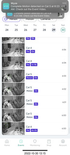 aftermath of Jane and Miss Pris  fighting