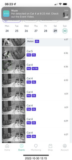 cat videos when Jane and Miss Pris fought