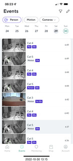 aftermath of Jane and Miss Pris  fighting