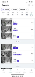 cat videos when Jane and Miss Pris fought