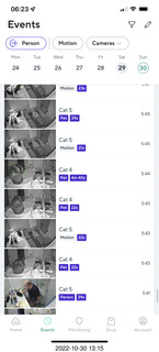 cat videos when Jane and Miss Pris fought