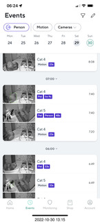 cat videos when Jane and Miss Pris fought