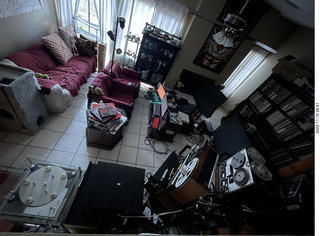 my cats Devin and Jane in my hifi room
