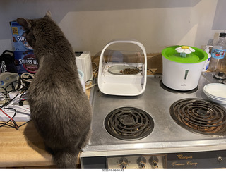 my cat Devin and the feeder, all gone on just one side