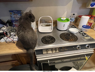 my cat Devin on the printer with roofer Misha's shadow