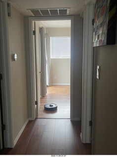 20 a1m. my newly-reconstructed upstairs hallway with Sharknado