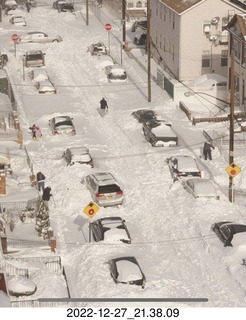 Olga and Anthony holiday/birthday card - 3D cats