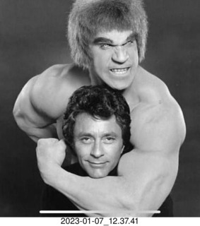 Facebook - Bill Bixby and Lou Ferrigno