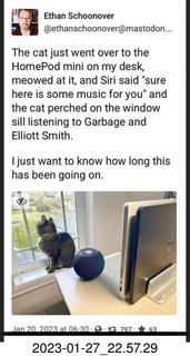 Facebook - cat listening to Siri music