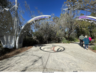 28 a1s. Astro Trails - Perth tour - Australian Botanical Garden