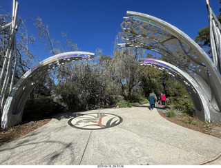 Astro Trails - Perth tour - Australian Botanical Garden