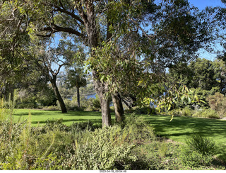 Astro Trails - Perth tour - Australian Botanical Garden