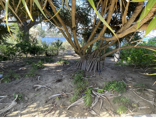 Astro Trails - Perth tour - Australian Botanical Garden