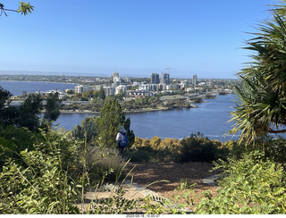 37 a1s. Astro Trails - Perth tour - Australian Botanical Garden view of Perth