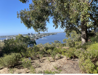 Astro Trails - Perth tour - Australian Botanical Garden view of Perth