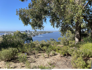 Astro Trails - Perth tour - Australian Botanical Garden view of Perth