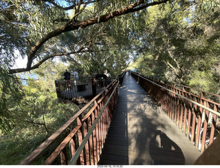 Astro Trails - Perth tour - Australian Botanical Garden - aerial walkway