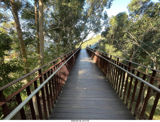 Astro Trails - Perth tour - Australian Botanical Garden