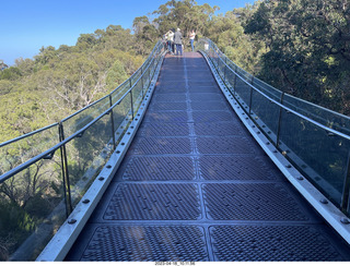 Astro Trails - Perth tour - Australian Botanical Garden - aerial walkway