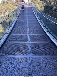 67 a1s. Astro Trails - Perth tour - Australian Botanical Garden - aerial walkway