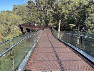 Astro Trails - Perth tour - Australian Botanical Garden - aerial walkway