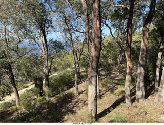 73 a1s. Astro Trails - Perth tour - Australian Botanical Garden - aerial walkway