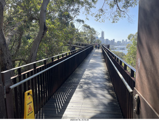 Astro Trails - Perth tour - Australian Botanical Garden - aerial walkway